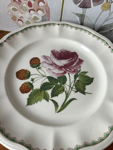Spode plate rose strawberry - spode,
