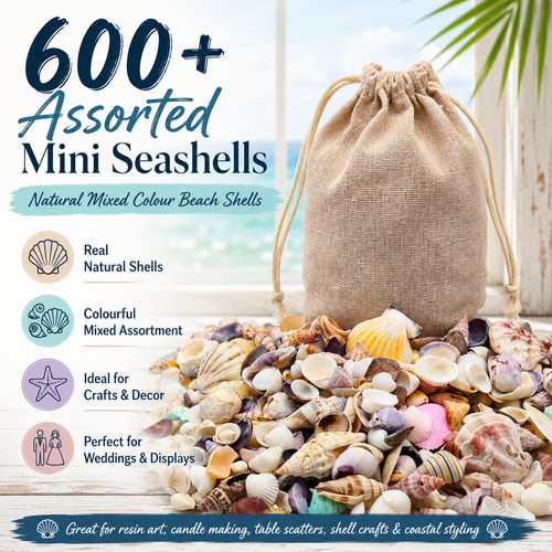 600 mini seashells mixed - 600+,