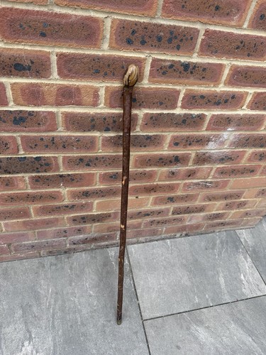 Unusualantique rustic hedge - rustic,
