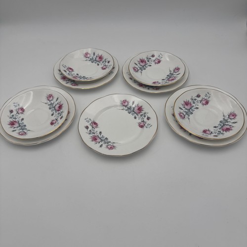 Salisbury fine bone china - fine, pink