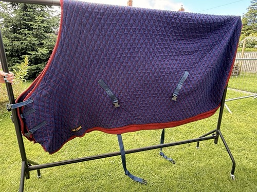 Thermatex type rug horse - type,