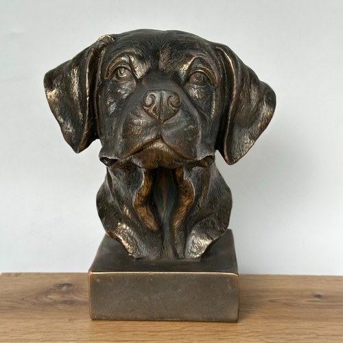 Labrador head bronze effect
