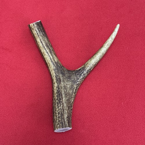 One piece deer antler y - piece,