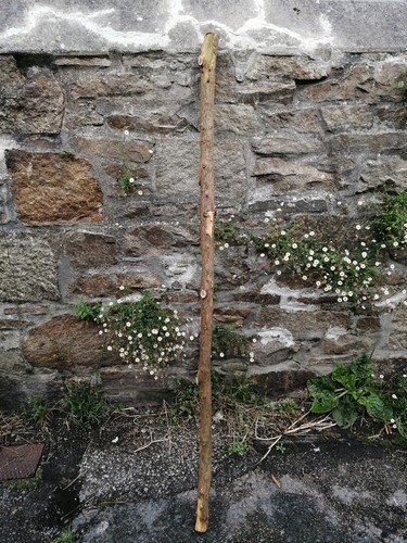 English yew log 5 - log–, 5"