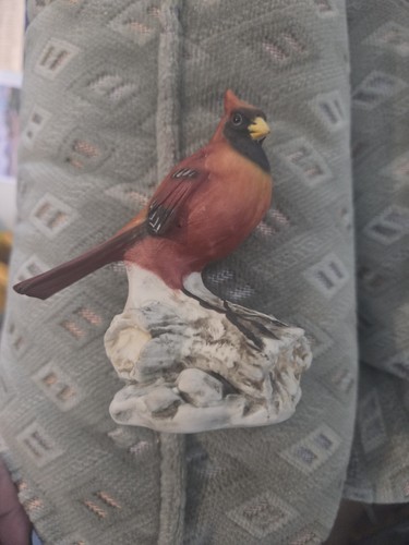 Capodimonte red jay bird - jay,