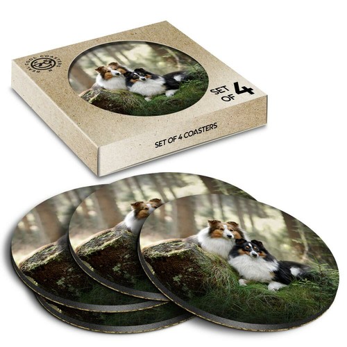 Boxed round coasters - x,
