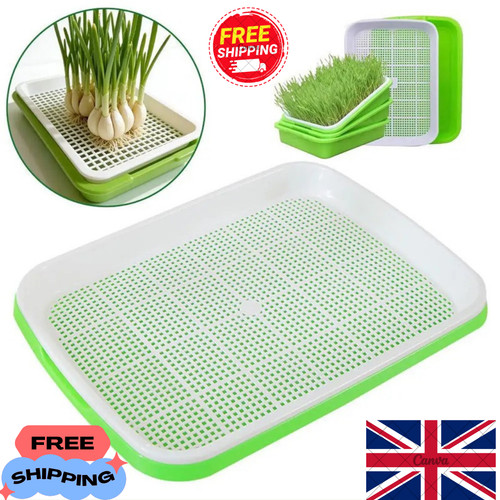 Seed sprouter tray - with, drain