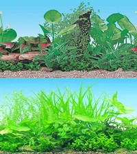 Aquarium Fish Tank Background 2 Sides - 50cm High 2 to 10 FT Lengths