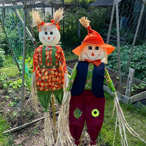 Woodside garden scarecrows - woodside,