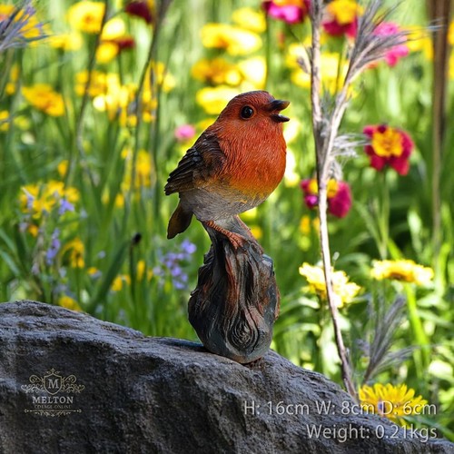Tweeting robin motion - tweeting,