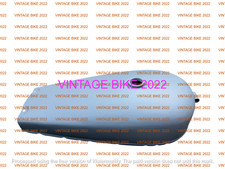 Brockhouse Corgi Steel Petrol