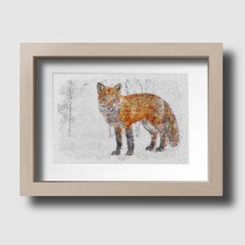 Fox in the Snow Wildlife