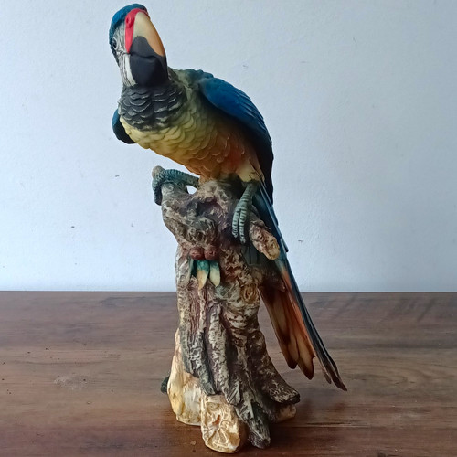 Vintage capodimonte parrot - parrot, v