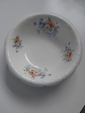 Wedgwood & Co. Royal Semi-Porcelain Floral Bowl. Excellent Condition.