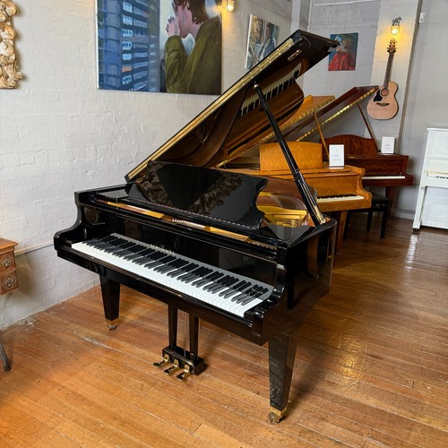 Schimmel 150 baby grand - grand, piano