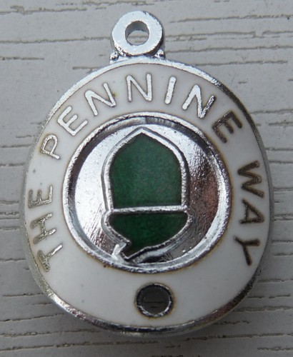 Walking stick badge with - badge, pins
