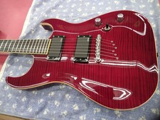 WASHBURN  X-50PROFE (NO250915)