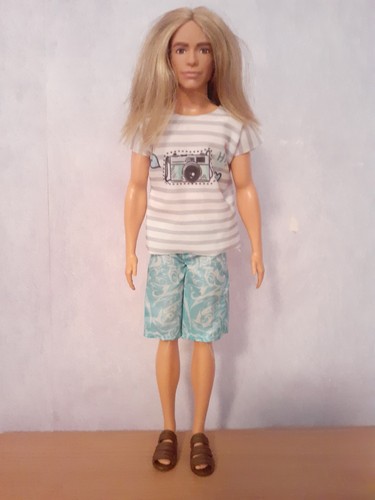 Barbie fashionistas ken doll - barbie,