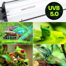 T5 UVB Lighting Combo Kit 21W - T5 UVB Reptile Light Fixture and 5.0 UVB Light B