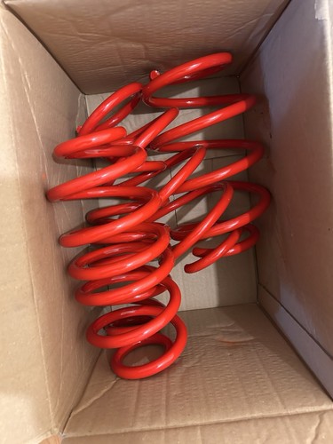 Autostyle lowering springs for - lowering,