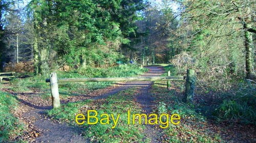 Photo 6x4 another - 6x4,