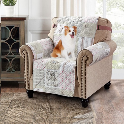 Brilliant sunshine grey cupid - grey,