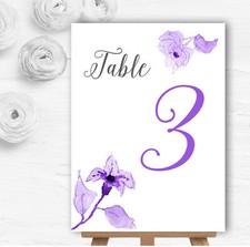 Beautiful Cadbury Purple