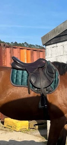 Albion adjusta jump - adjusta, saddle