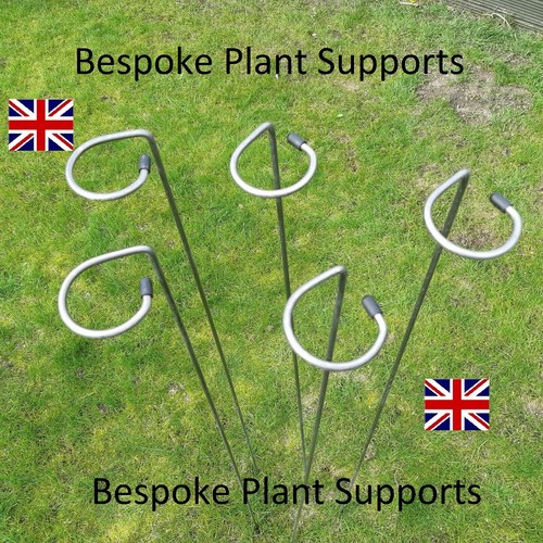 Plant supports stakes - metal, 5