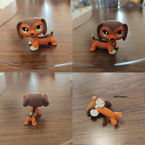 Littlest pet shop rare 675 - littlest,