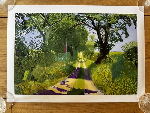 David hockney tunnel - hockney,