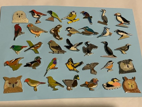 None rspb badges pin - rspb,