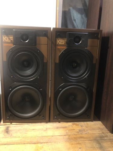 Kef cantor iii - kef, sp3029