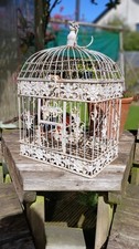 Bird Cage, shabby chic
