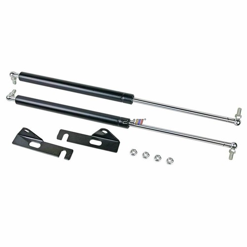 Front hood lift - hood, strut