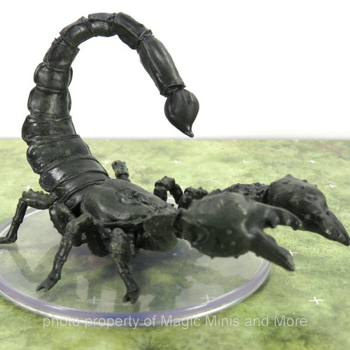 Wild shape polymorph giant - wild,