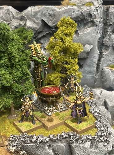 Warhammer dark elf witch - dark,