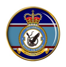6 Squadron, RAF Pin Badge