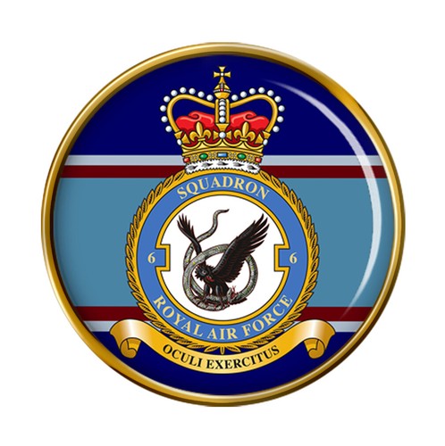 Squadron raf pin - 6, squadron,