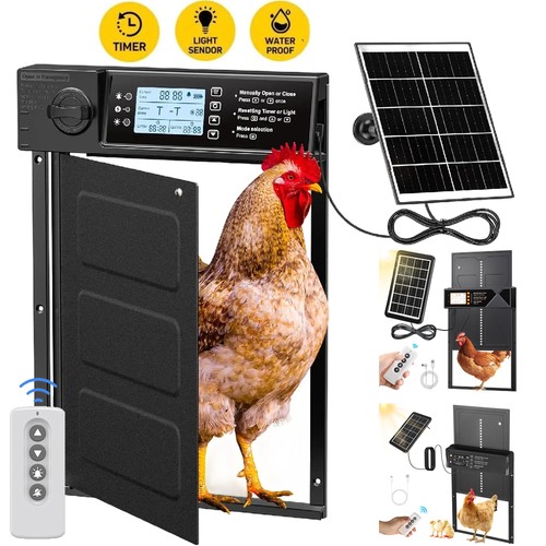 Automatic chicken coop door - chicken,