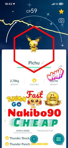 Pokemon shiny pichu wearing - pokemon✨shiny,