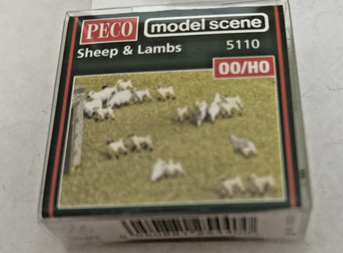 Sheep lambs peco - sheep, &