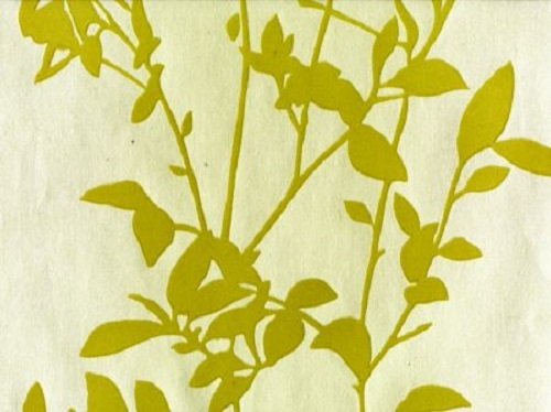 Wilman interiors velvet - wilman,