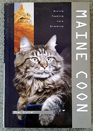 Maine coon sluiter - maine, m