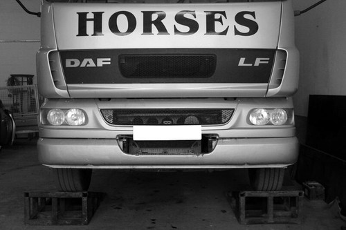 Horse box graphics - box, stickers