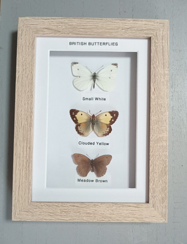 Framed real british - real,