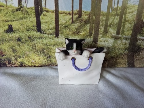 Playful kitten leonardo - playful,