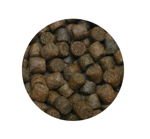 Skretting coarse elite trout - coarse,