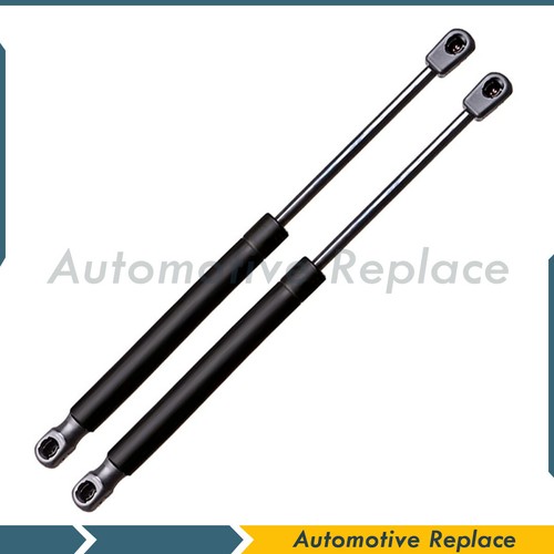 Tailgate lift supports - tailgate,