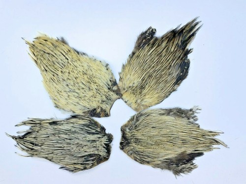 Badger cock cape - ,fly, tying